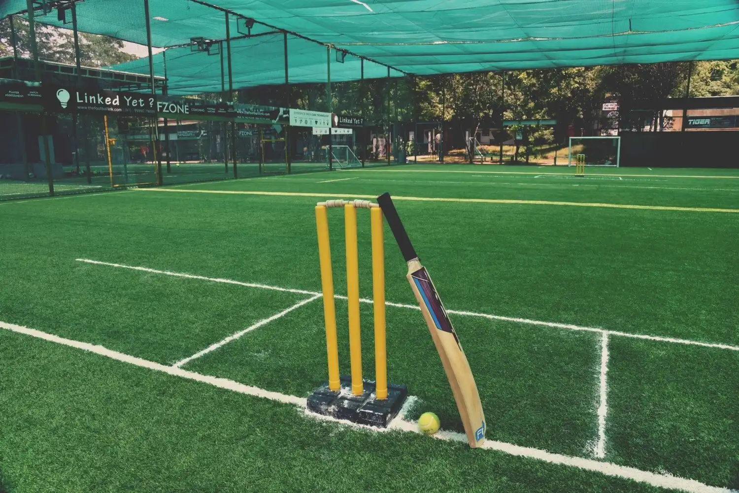 Box Cricket Turf Night